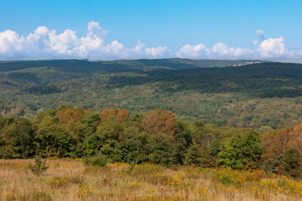 View from the Overlook Tower in Somerset County PA