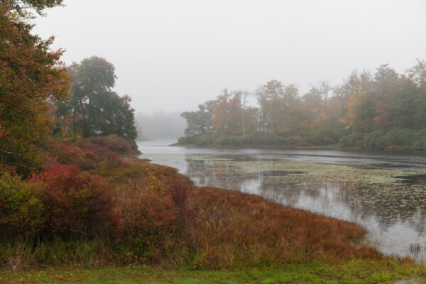 Lower Lake in the fog in Pike County PA