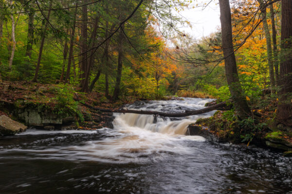 A small waterfall and Fall foliage along the Little Falls Trail in Promised Land State Park.