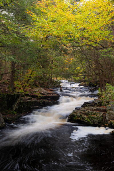 Overlooking Little Falls in Promised Land State Park under a canopy of yellow leaves