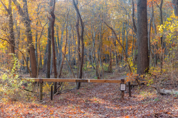 Gate in the woods along the Appalachian Trail near Pine Grove Furnace State Park in PA