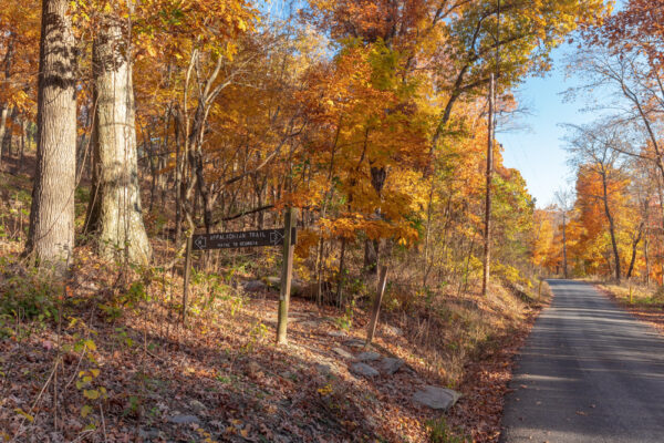 The Appalachian Trail along Michaux Road in Cumberland County, PA