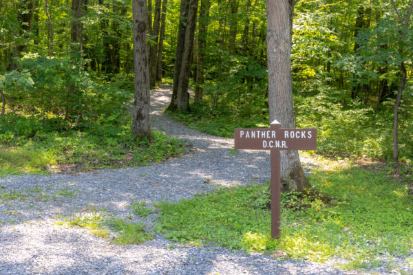 Trailhead for Panther Rocks in Moshannon State Forest in PA