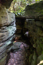 Exploring Panther Rocks in Clearfield County's Moshannon State Forest ...
