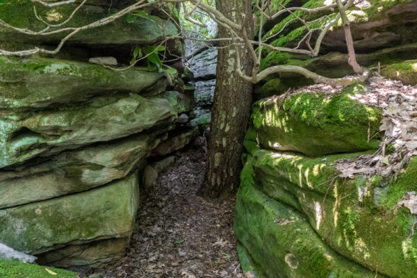 Large crevice at Panther Rocks in Moshannon State Forest in Clearfield County PA