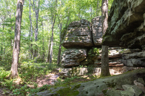 The giant rock wall at Panther Rocks in Clearfield County's Moshannon State Forest in PA