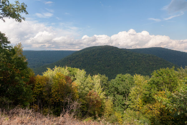 Forested hillsides from Raven's Knob scenic overlook in Bald Eagle State Forest in Pennsylvania