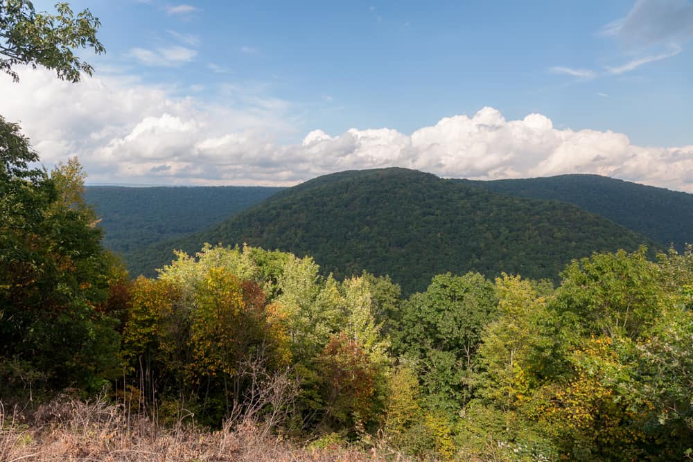 7 Incredible Roadside Scenic Overlooks in Bald Eagle State Forest