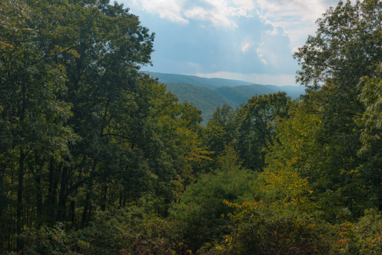 7 Incredible Roadside Scenic Overlooks in Bald Eagle State Forest