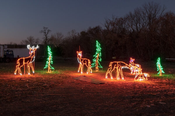 Reindeer lights on the Trail of Lights in Chambersburg PA