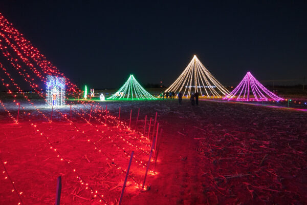 Light pyramids at the Christmas Lights at Country Creek Farm in Chambersburg PA