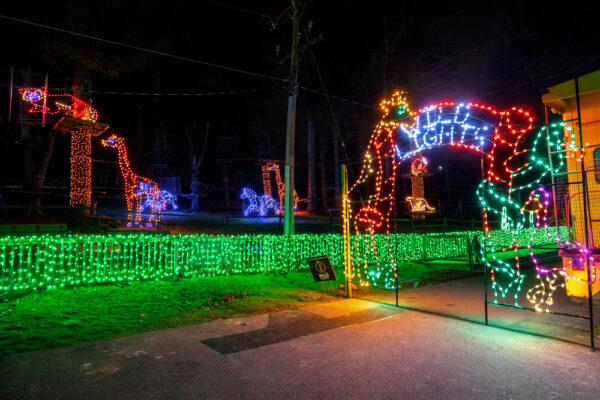 Animal-shaped light displays at Elmwood Park Zoo in Montgomery County PA