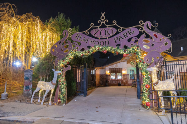 The entrance to Elmwood Park Zoo during Wild Lights.