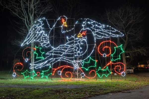 Dove Christmas lights in Nay Aug Park in Scranton PA