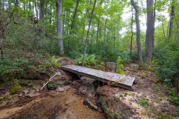 Bridge over an unnamed stream on the Railroad Arch Trail in Fulton County Pennsylvania