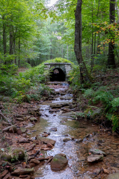 Looking upstream toward the South Pennsylvania Railroad Aqueduct in Buchanan State Forest