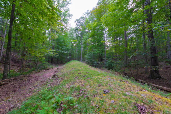 The grass-covered top of the South Pennsylvania Railroad Aqueduct in Buchanan State Forest in Fulton County Pennsylvania