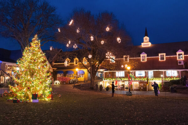 A Christmas tree on the Village Green in Peddler's Village near Doylestown PA