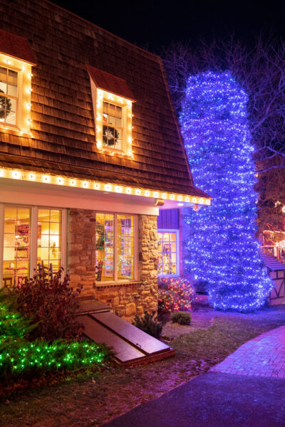 Lights on a building and a tree at Peddler's Village near New Hope PA