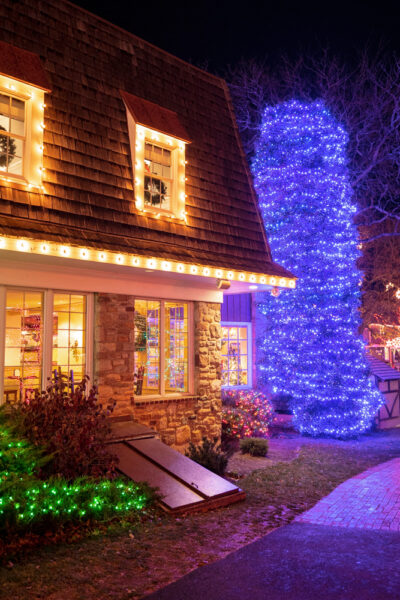 Peddlers Village Christmas 2166 400x600 