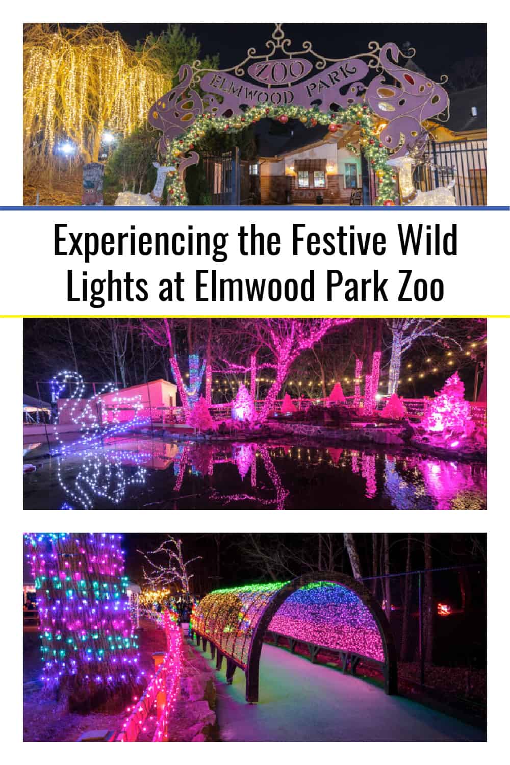 Experiencing the Festive Wild Lights at Elmwood Park Zoo Uncovering PA