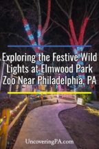 Wild Lights at Elmwood Park Zoo in Norristown PA