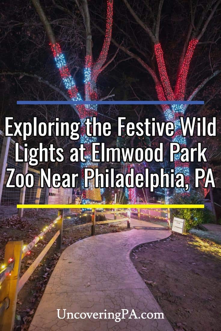 Experiencing the Festive Wild Lights at Elmwood Park Zoo - Uncovering PA