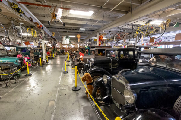 Rows of cars in the Classic Car Exhibit at the American Treasure Tour near Valley Forge Pennsylvania