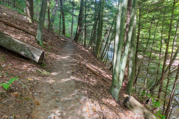 Narrow section of the Hemlock Trail in Laurel Hill State Park in PA