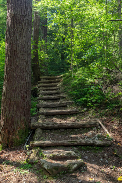 Wooden staircase on the Hemlock Trail in Laurel Hill State Park