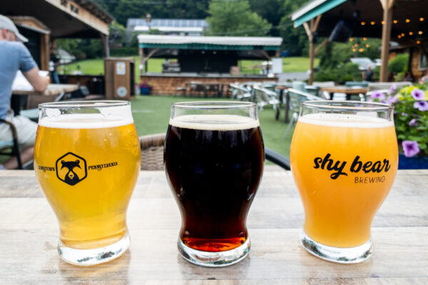 Sampler beers at Shy Bear Brewing in Lewistown PA