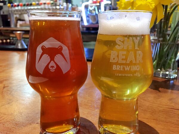 Two small beers at Shy Bear Brewing in Lewistown PA