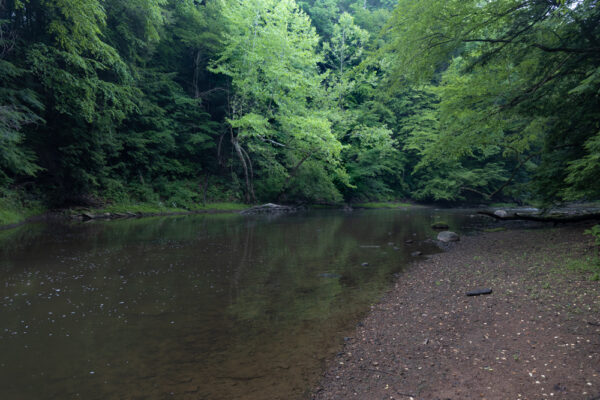 Trees line Wolf Creek near Slippery Rock Pennsylvania