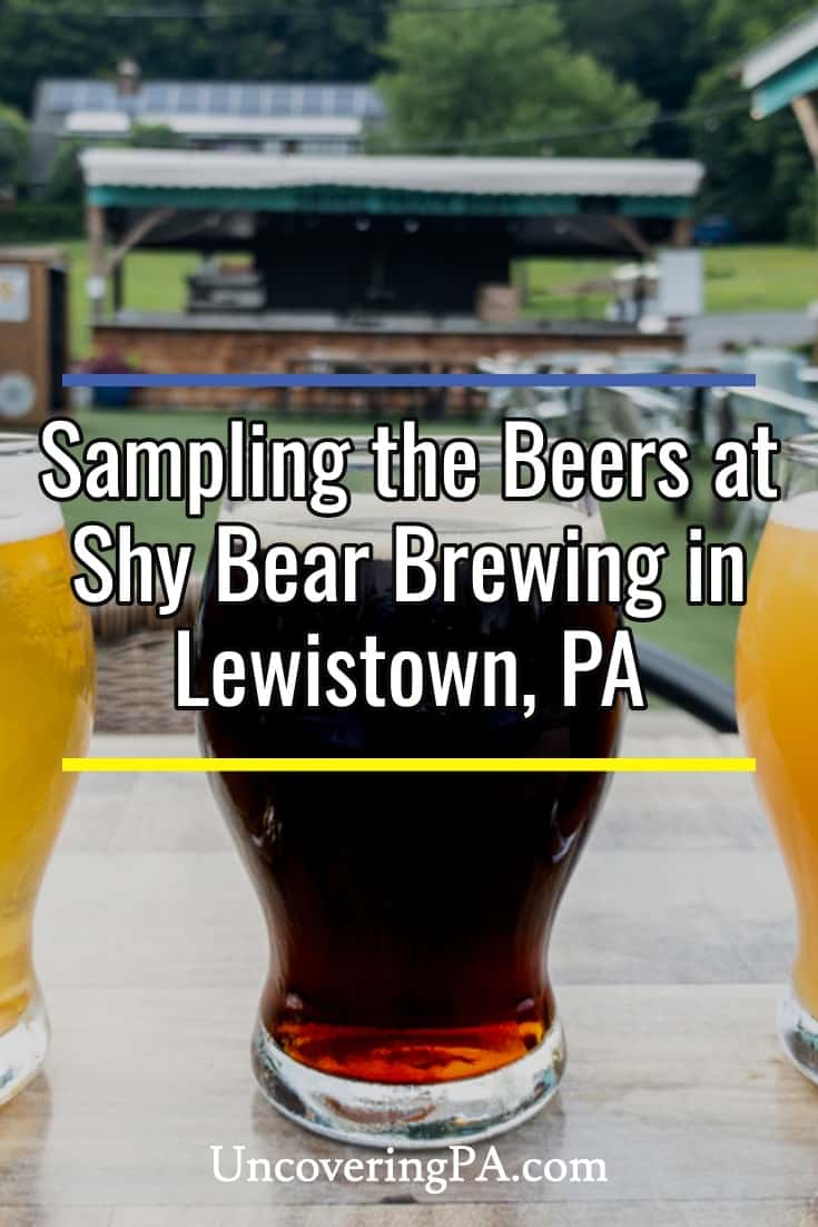 Shy Bear Brewing Tasty Craft Beer in Lewistown Uncovering PA