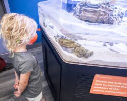 Family Fun at Discovery Space in State College