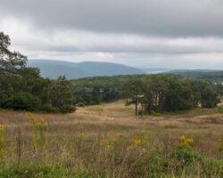 Visiting Blue Knob in Bedford County: The Second Highest Spot in Pennsylvania