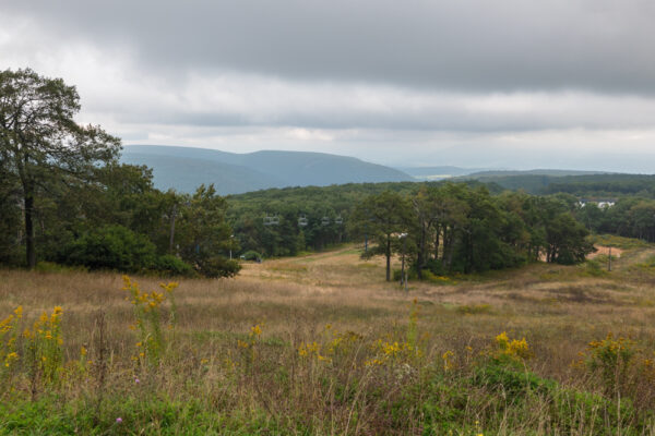 View from the summit of Blue Knob in Bedford County PA