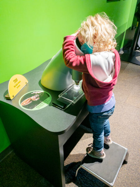 Child looking into a microscope at the Da Vinci Science Museum in Allentown PA