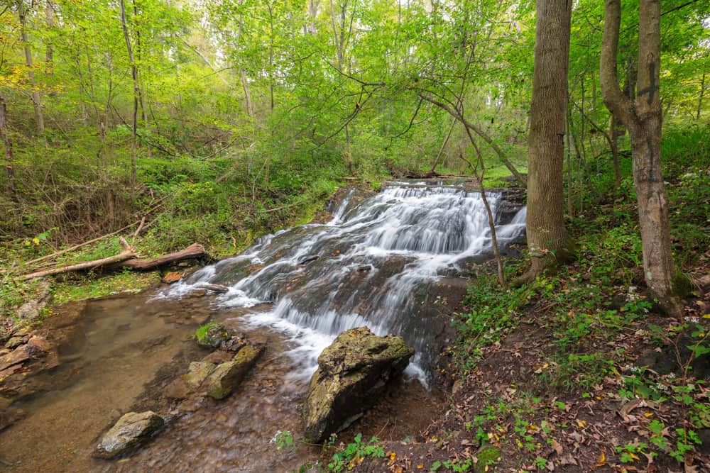 How to Get to Cabbage Creek Falls in Roaring Spring's Shawnee Park