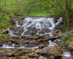 How to Get to Cabbage Creek Falls in Roaring Spring’s Shawnee Park