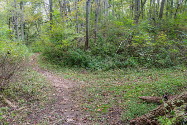 Trail in Shawnee Park in Roaring Spring Pennsylvania