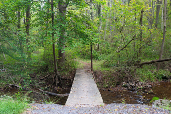 Trail to Cabbage Creek Waterfall in Roaring Spring PA