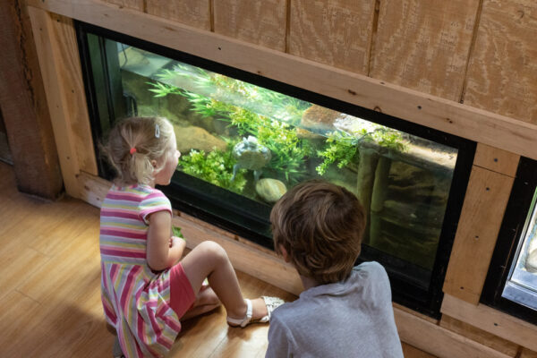 Kids looking at turtles at the Elmwood Park Zoo near Philly