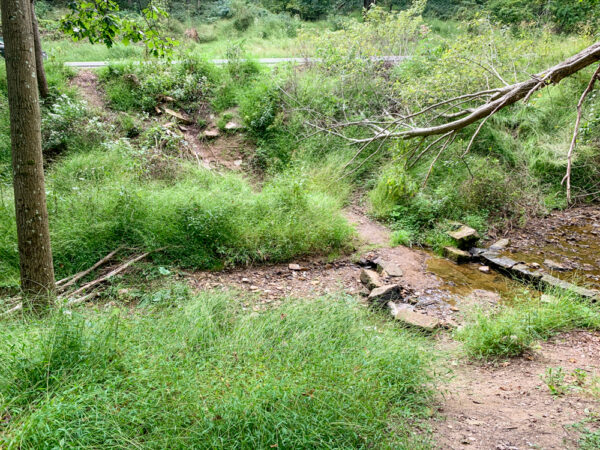 Trail to the Fountain of Youth in Allegheny County Pennsylvania 