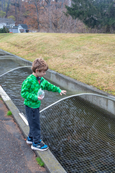 Boy feeding fish at the Li'l-Le-Hi Trout Nursery in the Lehigh Valley of Pennsylvania