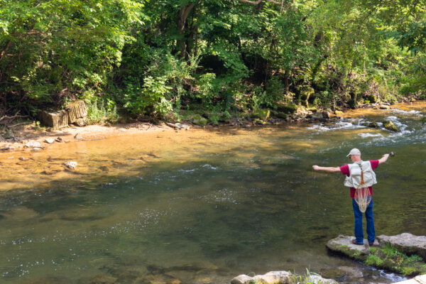 Man fly fishing at the Little Lehigh Creek in Allentown PA