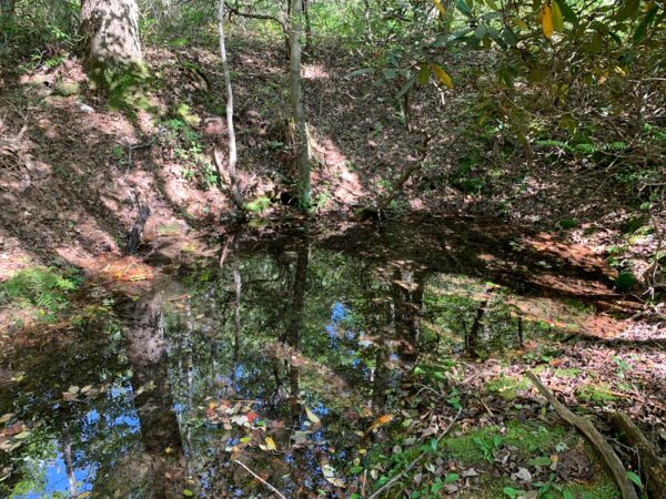 Sand Spring in Shingletown Gap in Rothrock State Forest, PA