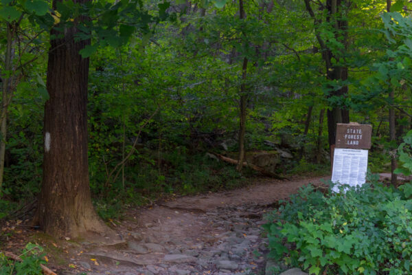 Trailhead for Shingletown Gap's Lower Trail