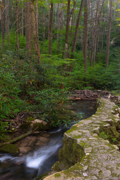 Roaring Run flowing past a stone wall in Shingletown Gap in Rothrock State Forest