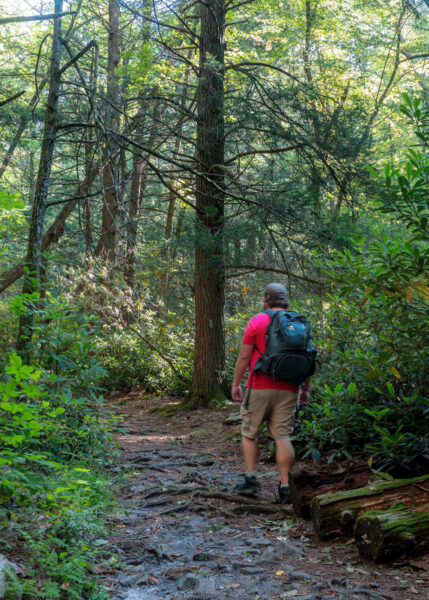 Man hiking through Shingletown Gap in Rothrock State Forest